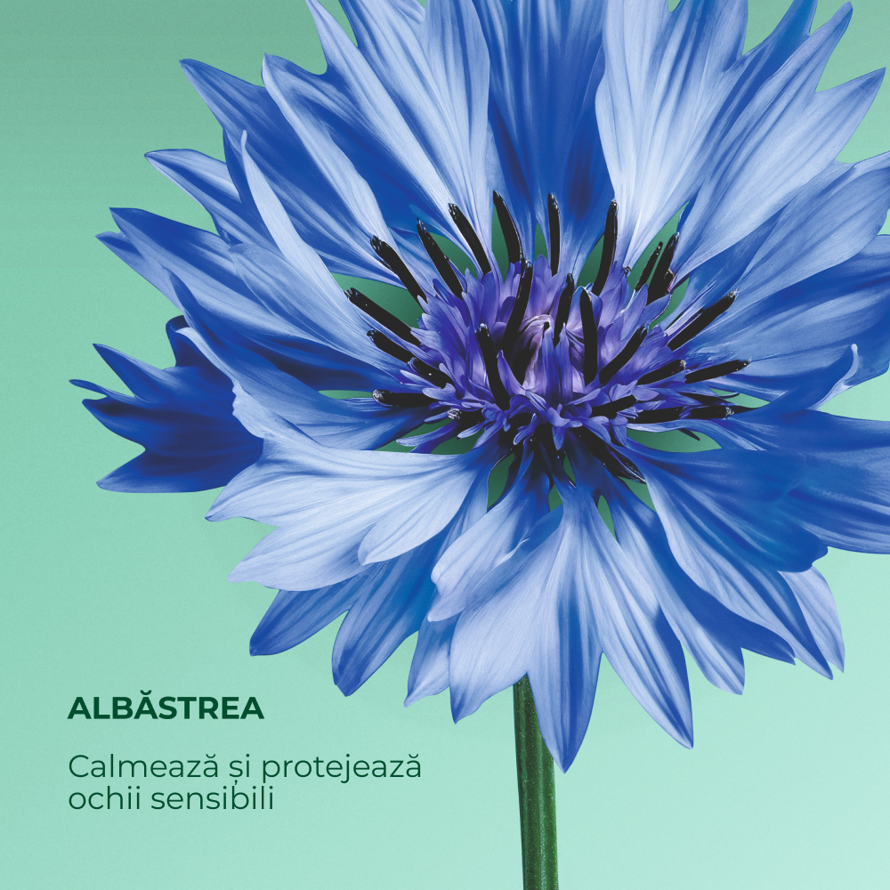 Mascara Intense Métamorphose