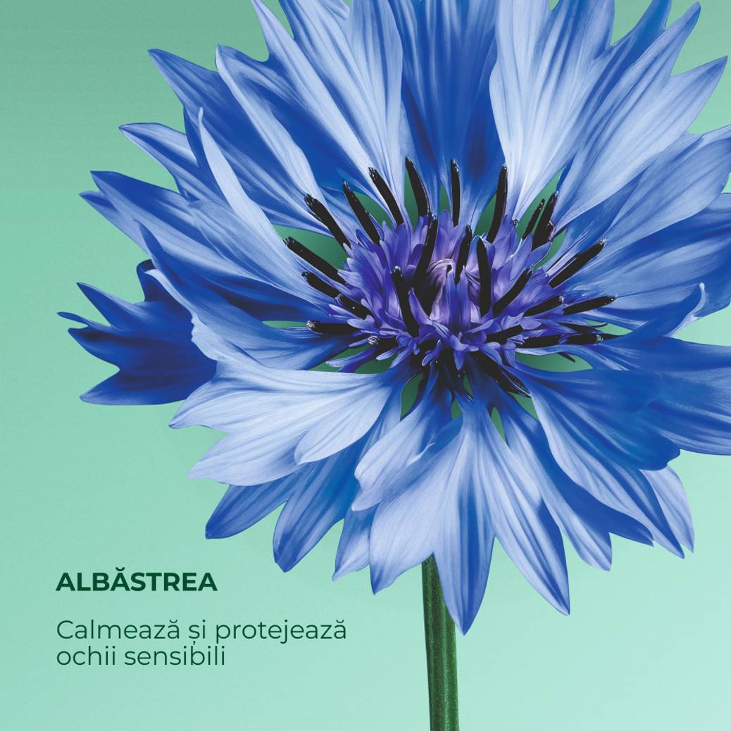 Mascara Intense Métamorphose