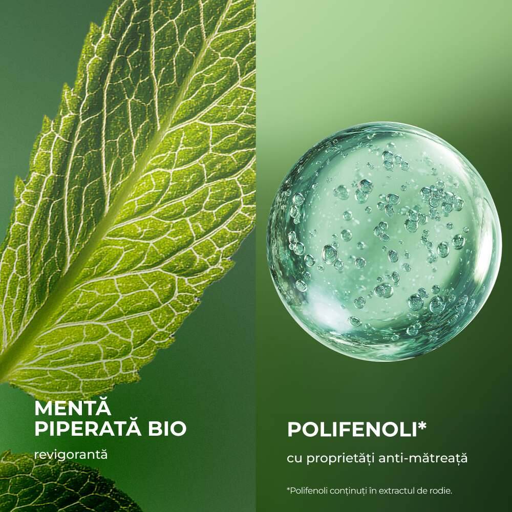Rezervă Șampon tratament împotriva mătreții cu Mentă Piperată Bio