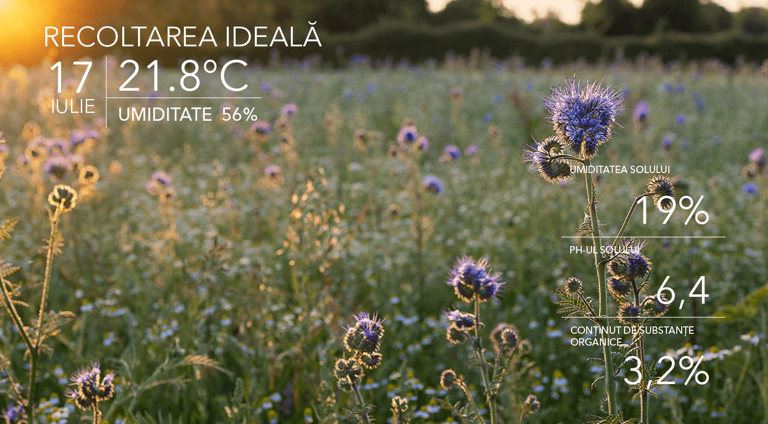 Ideal harvesting conditions